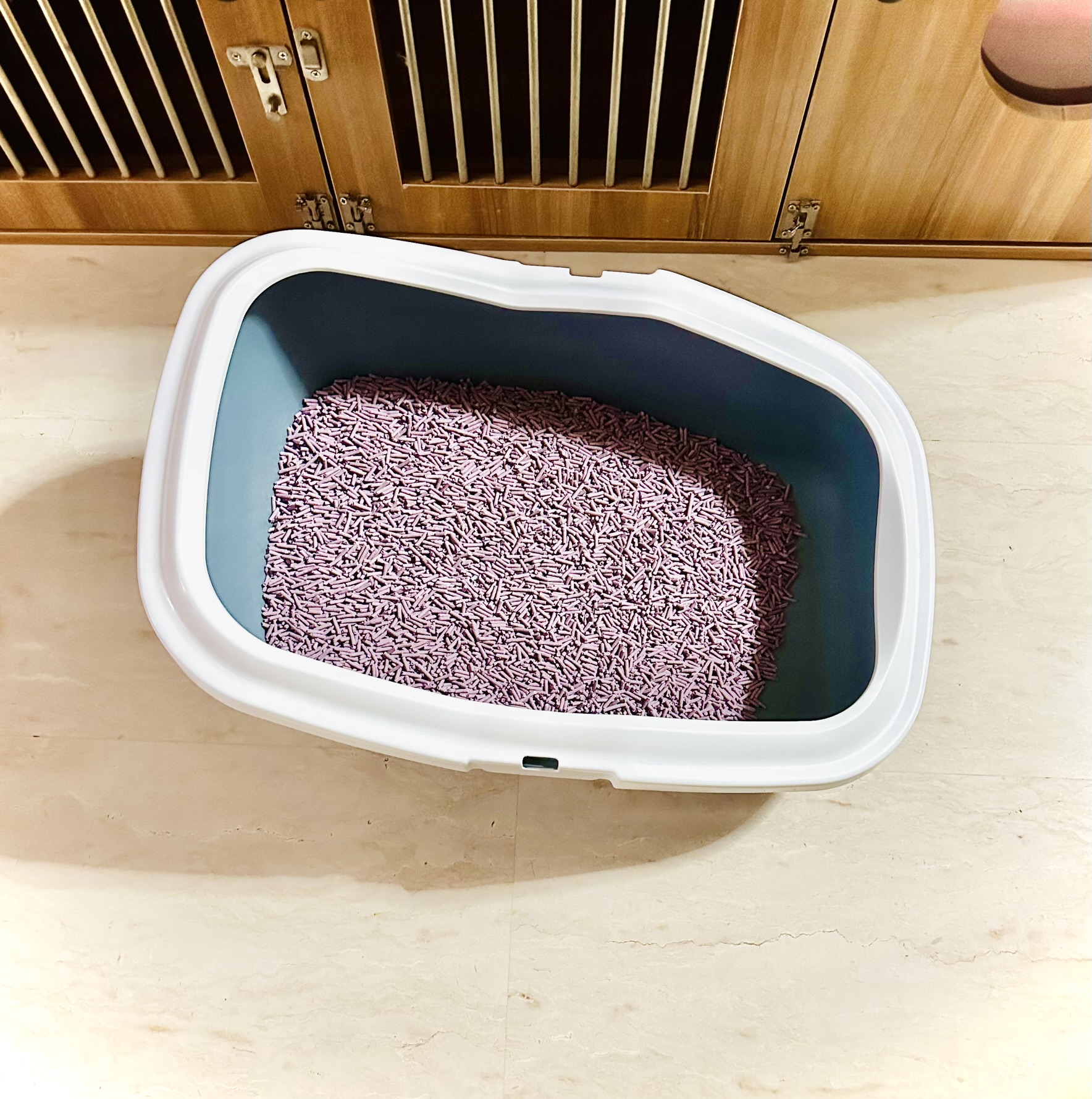 cat litter photo J3's POV